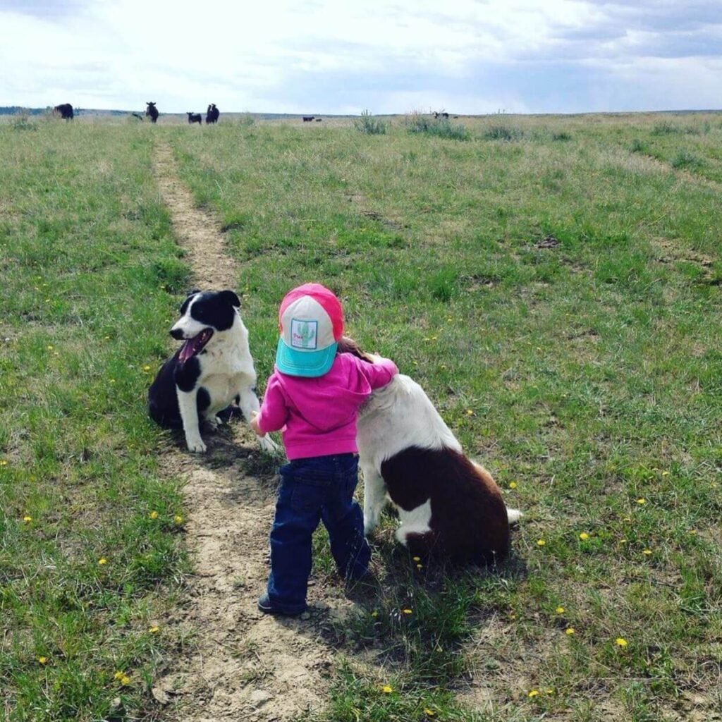 toddler girl with her dogs in a green pasture with cows in the distance